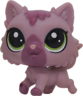 #262 Mini Kitten